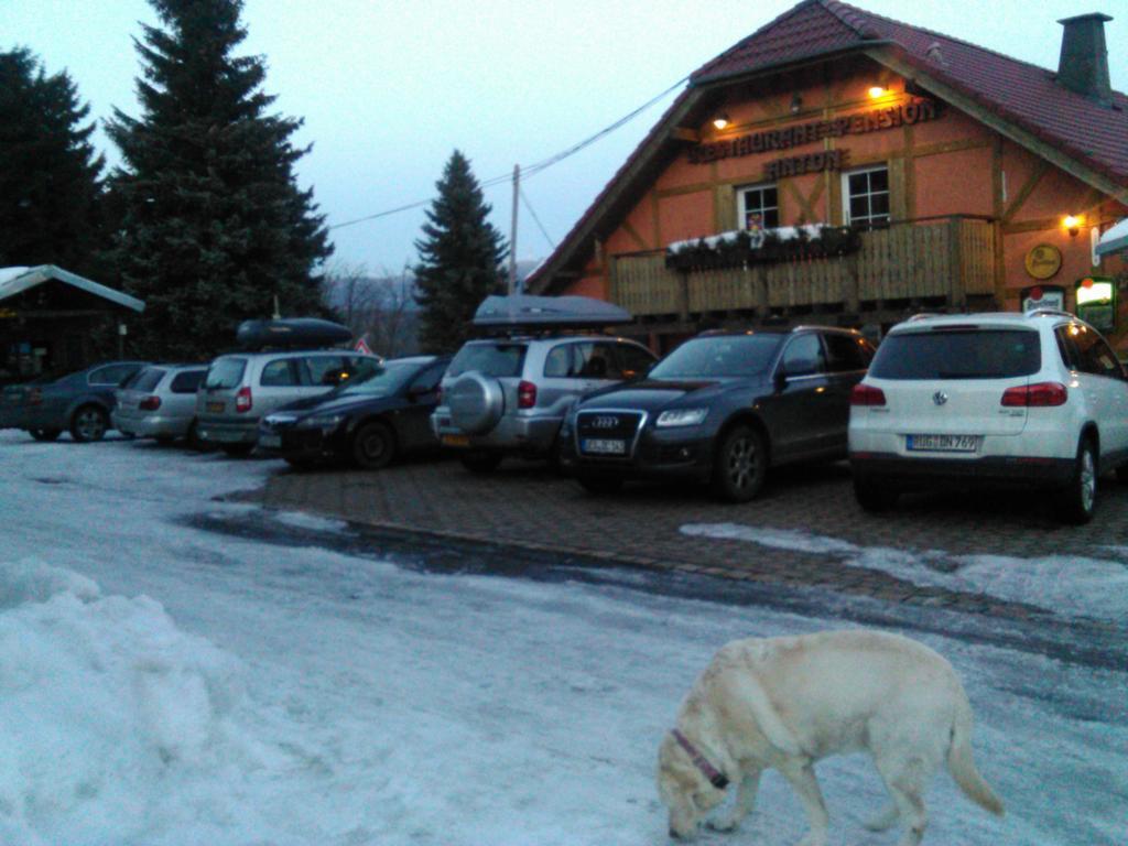 Restaurant Pension-Anton Jáchymov Extérieur photo